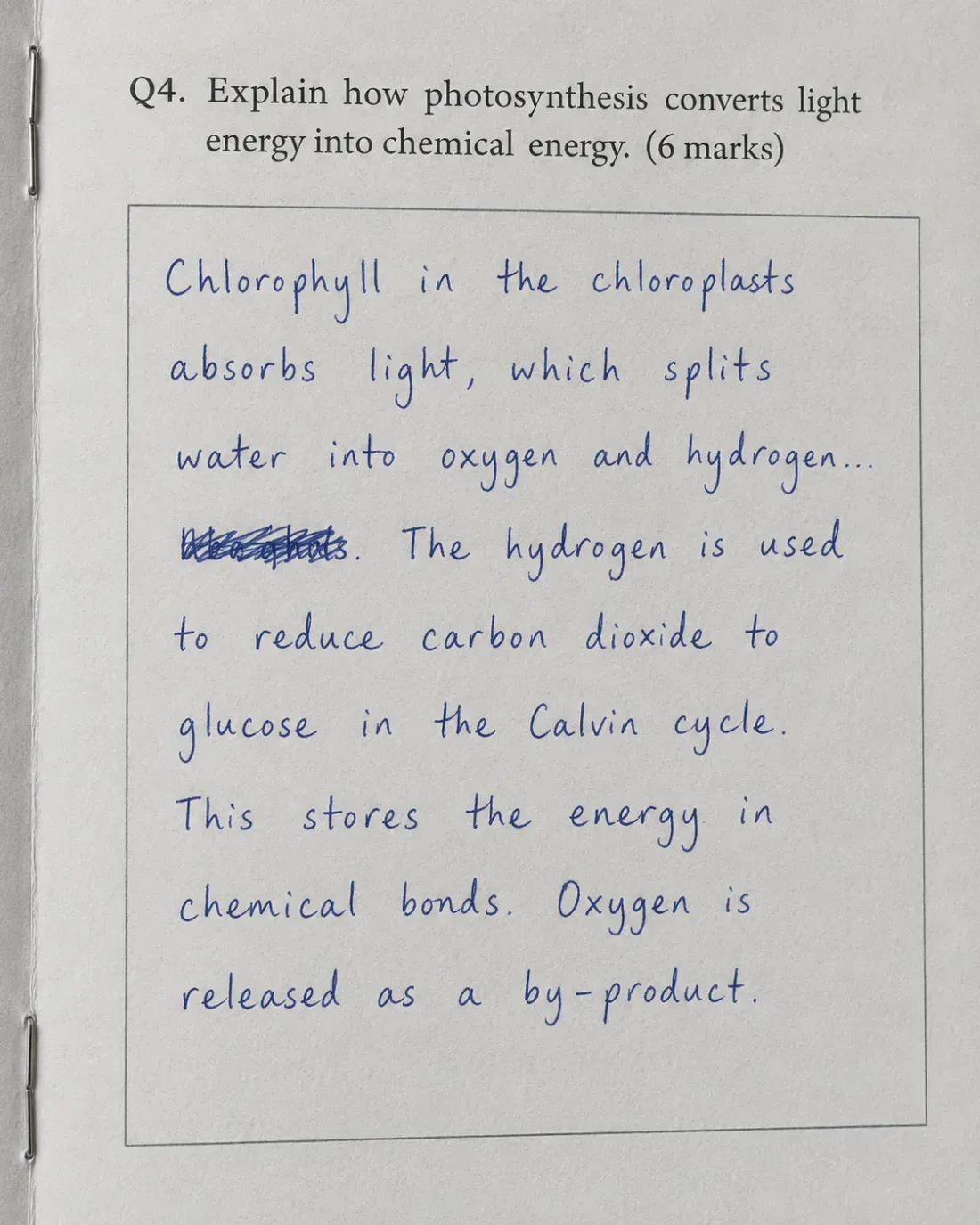 A handwritten exam answer below a printed question