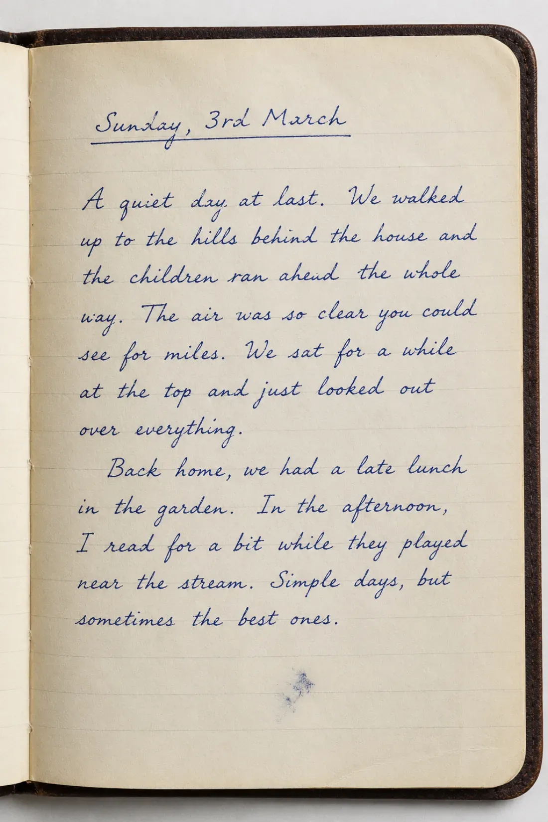 A dated handwritten personal diary entry in cursive