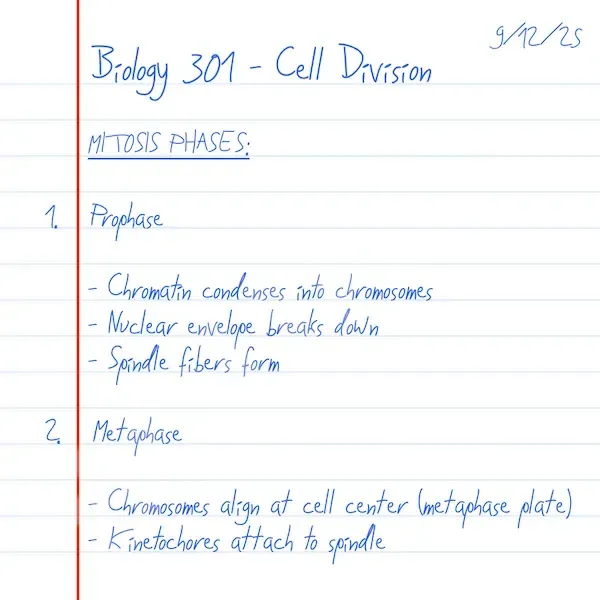 Handwritten lecture notes