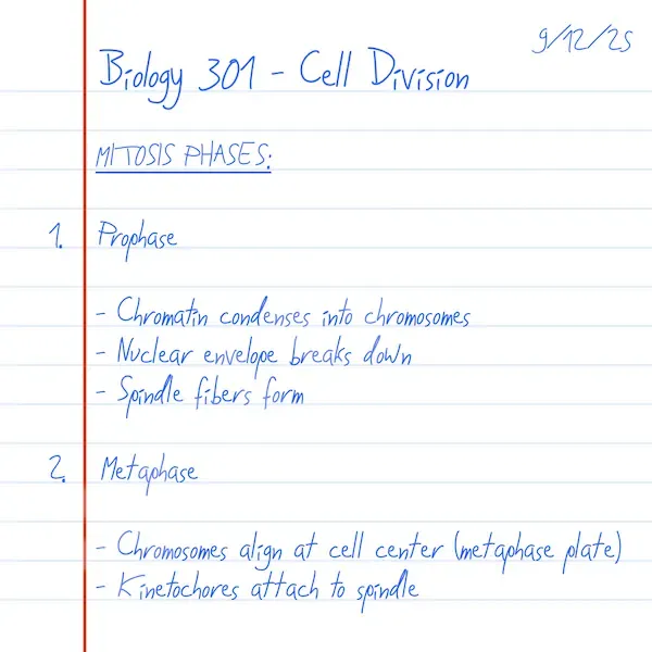 Handwritten lecture notes
